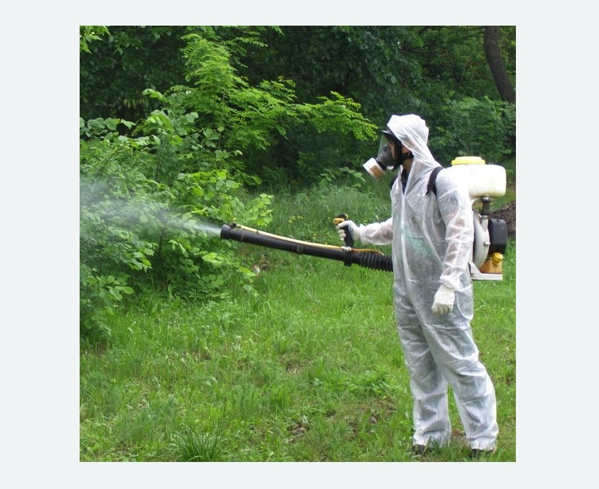 обработка дачи от клещей обработка территории от клещей в Шеметово