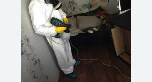 Обработка квартир от насекомых в Шеметово