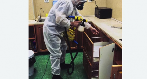 Дезинсекция квартиры. Шеметово