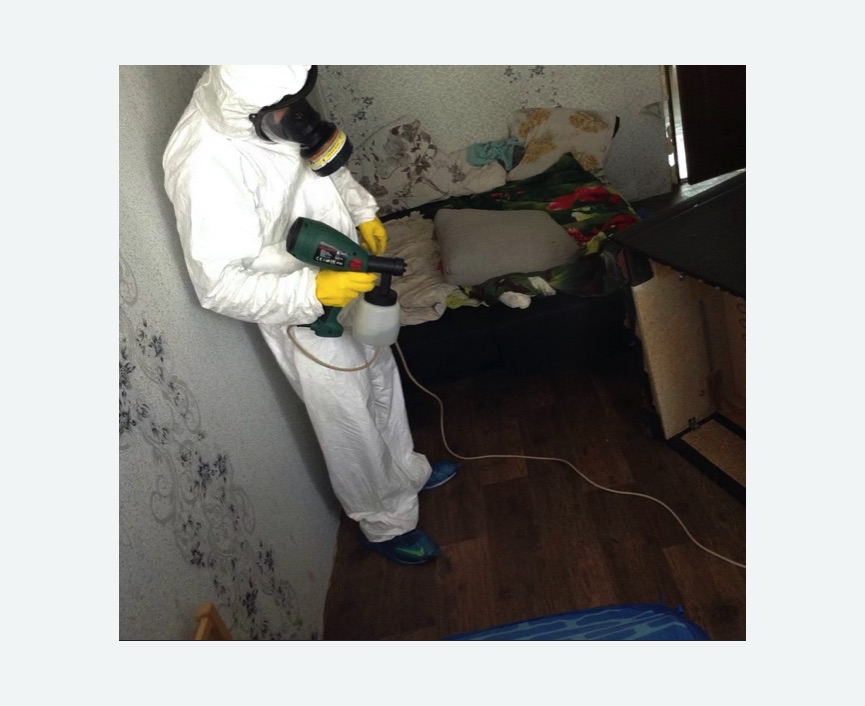 Обработка от насекомых в Шеметово Обработка квартиры от насекомых