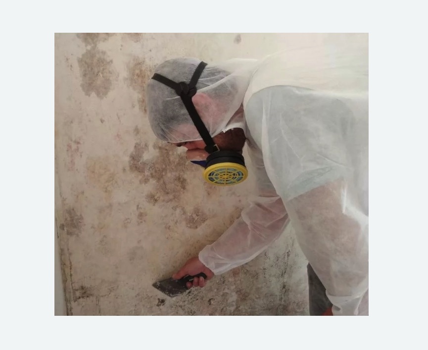 Обработка стен от плесени в Шеметово