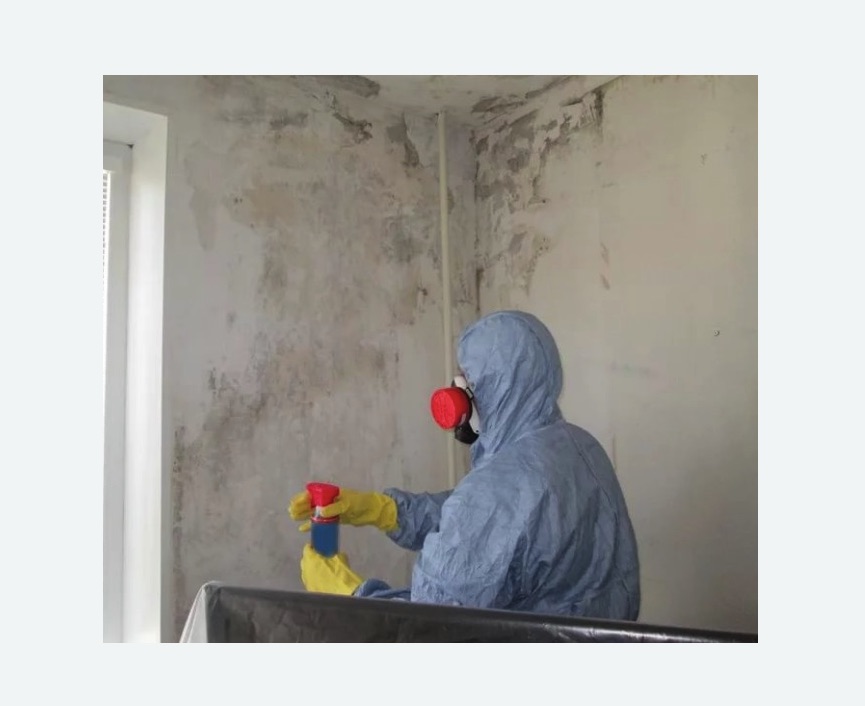Удаление плесени в квартире в Шеметово