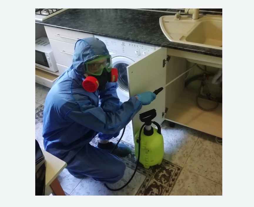 обработка от муравьев в квартире обработка от муравьев в квартире в Шеметово