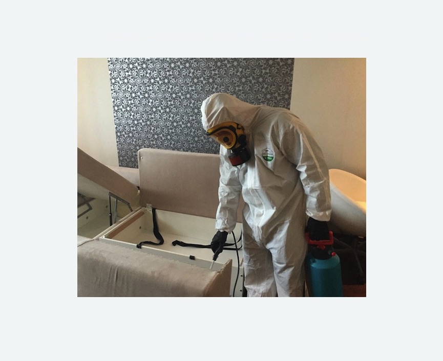 уничтожение клопов в квартире уничтожение клопов в квартире в Шеметово