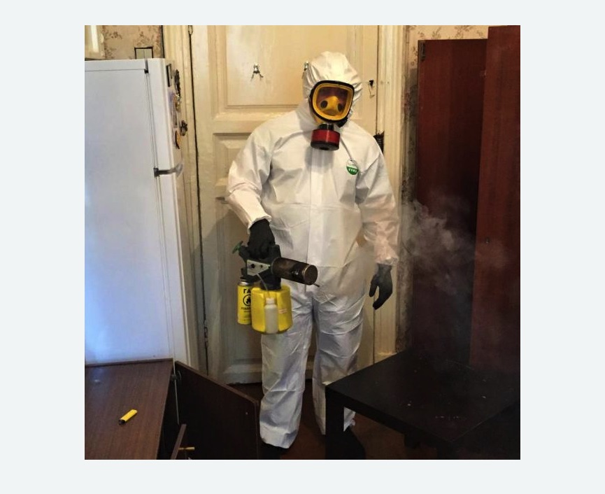 уничтожение муравьев в квартире уничтожение муравьев в квартире в Шеметово